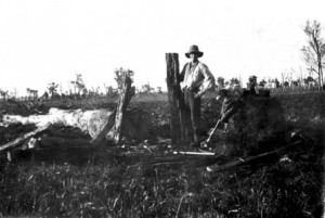 Splitting-posts-for-fencing-at-Tichborne