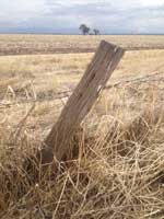 fence-post