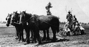 William-Kingham-n-family-on-plough-h